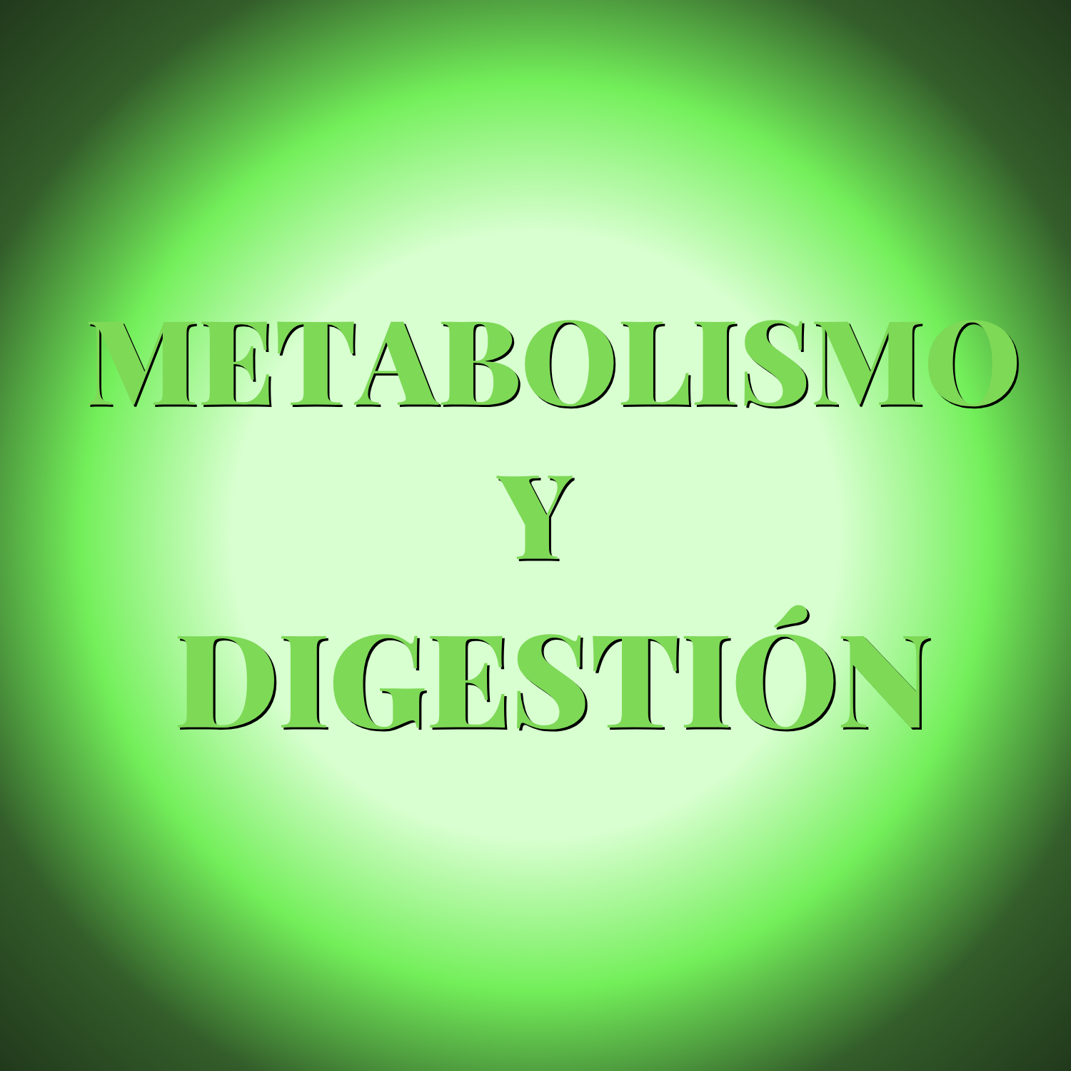 Metabolismo y Digestión
